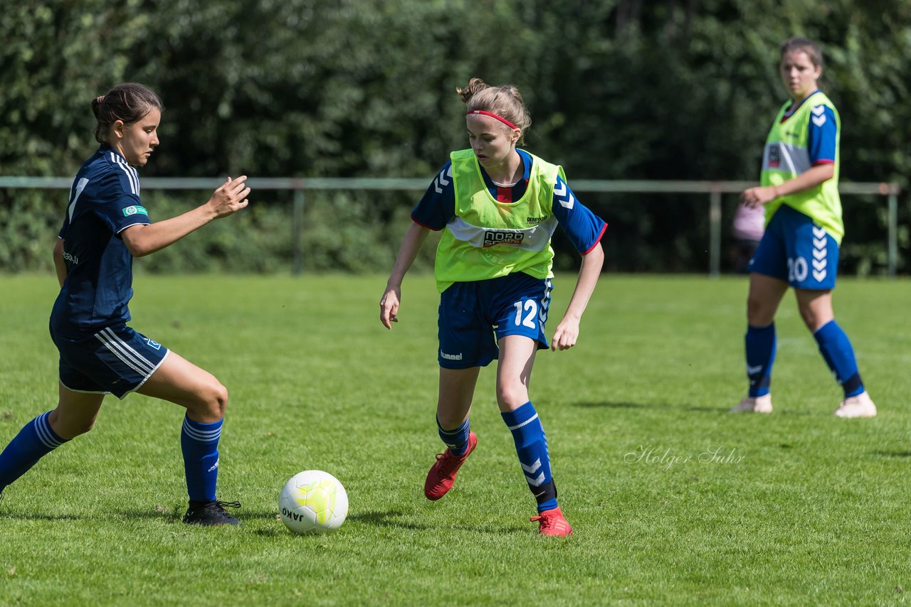 Bild 309 - B-Juniorinnen VfL Pinneberg - HSV : Ergebnis: 1:4